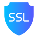 ssl icon