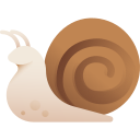 Caracol icon