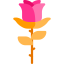 Rosa icon