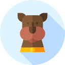chien icon