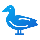 pato icon