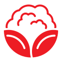 coliflor icon