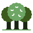 forestación icon