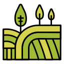 campo icon