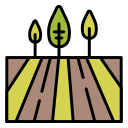 campo icon