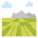 campo icon