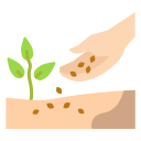 Seeding 