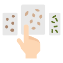 Seeds 