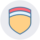 seguridad icon