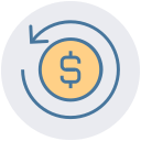 dólar icon