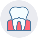 Teeth 