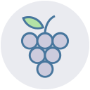 fruta icon