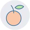 fruta icon