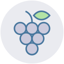 fruta icon