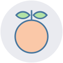 fruta icon