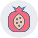 fruta icon