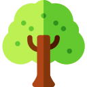 árbol