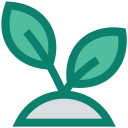 naturaleza icon