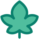 naturaleza icon