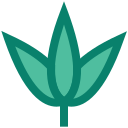 naturaleza icon