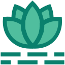 naturaleza icon