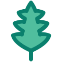 naturaleza icon