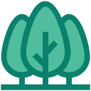 naturaleza icon