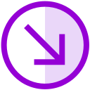 flecha icon