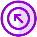 flecha icon