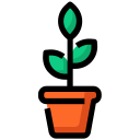 naturaleza icon