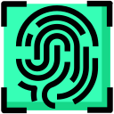 seguridad icon