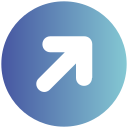 flecha icon