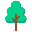 Árbol icon