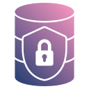 seguridad de datos icon