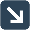 flecha icon