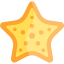 estrella de mar 