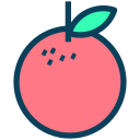 fruta icon