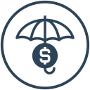 dólar icon