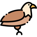 águila icon