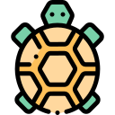 Tortuga icon