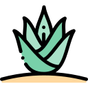 Agave icon