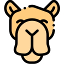 Camello icon