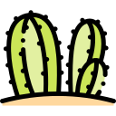 Cactus icon