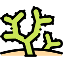 Cactus icon