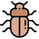 Cucaracha icon