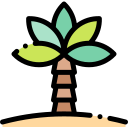 Palmera icon