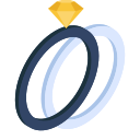 anillo icon