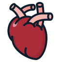 corazón icon