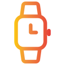 reloj icon