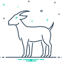 animal icon